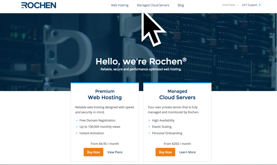 Rochen
